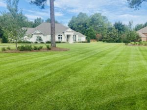 A perfectly striped, freshly mowed lawn in front of a beautiful home by NewLeaf Lawn Care LLC in Dothan, AL.