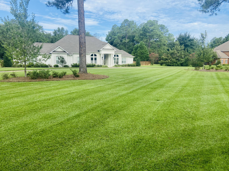 A perfectly striped, freshly mowed lawn in front of a beautiful home by NewLeaf Lawn Care LLC in Dothan, AL.