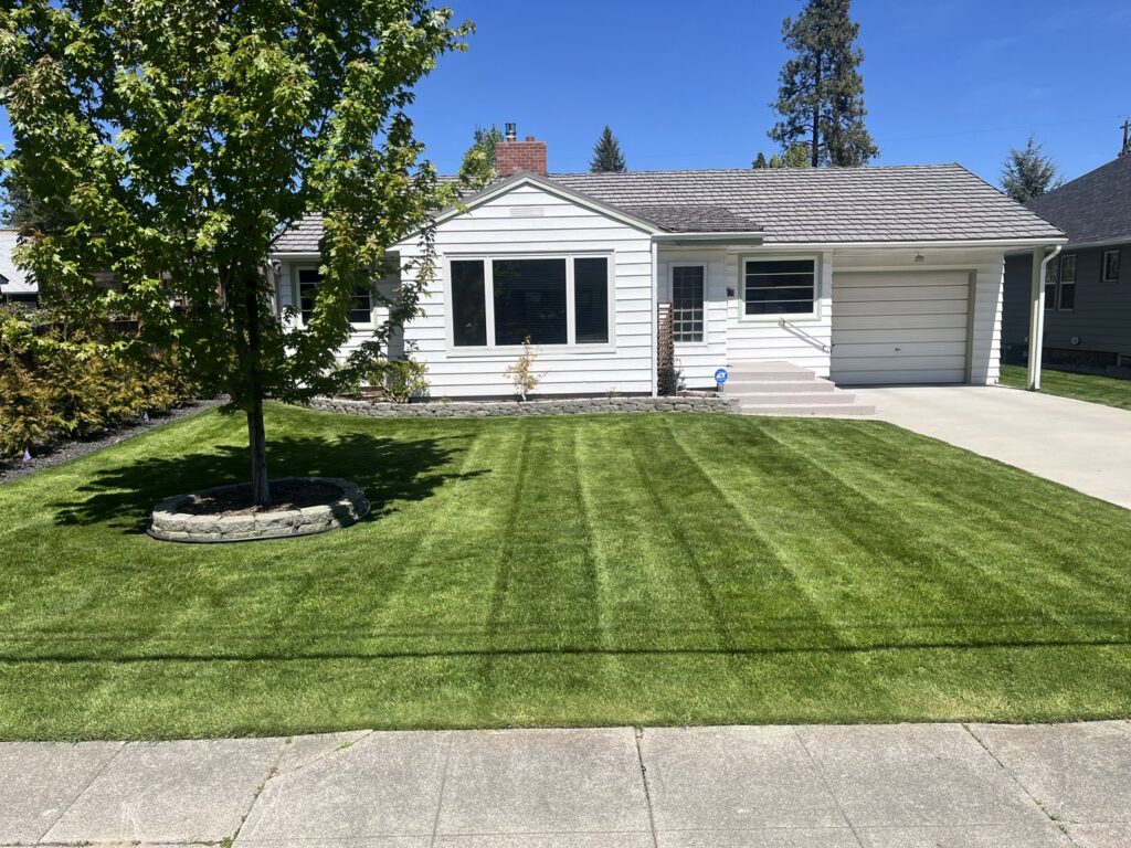 A residential front yard showcasing a perfectly striped, lush green lawn and manicured landscaping, a service by McLain Lawn & Landscape in Spokane, WA.