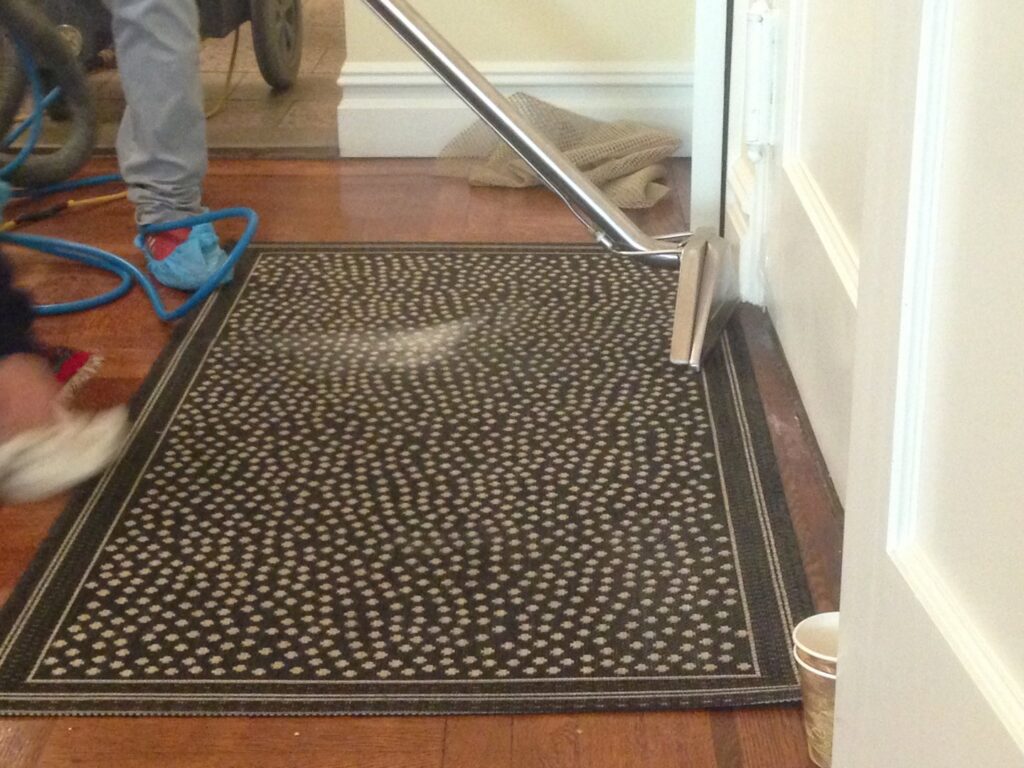 A person using a professional carpet cleaning wand to clean an area rug, offered by Carpet Cleaner Staten Island in Staten Island, NY.