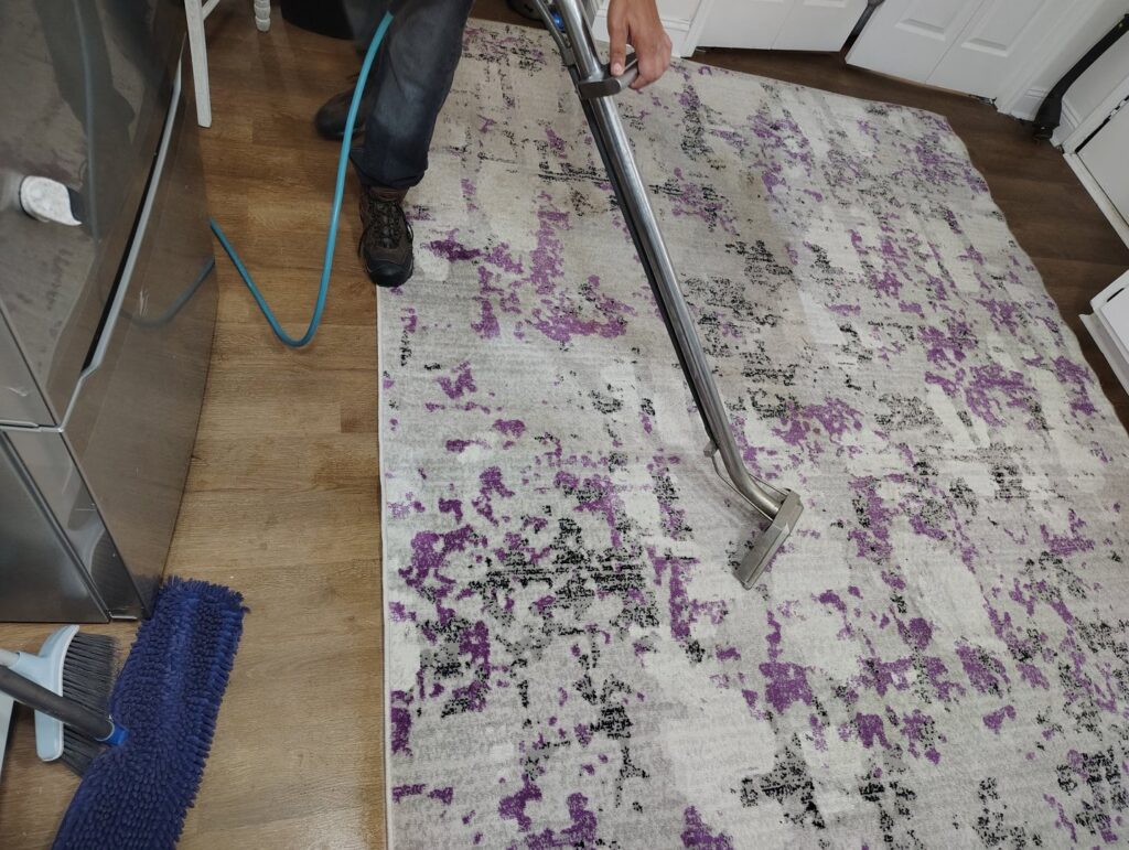 A person professionally cleaning an area rug with a cleaning wand by D&D Carpet Cleaning & Janitorial in West Columbia, SC