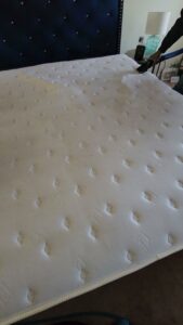 A person professionally cleaning a mattress with specialized equipment by D&D Carpet Cleaning & Janitorial in West Columbia, SC