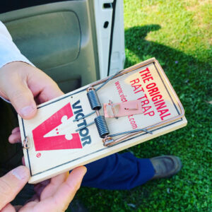 A person holding a Victor brand rat trap, used by AB Pest Control for rodent management in Bakersfield, CA.