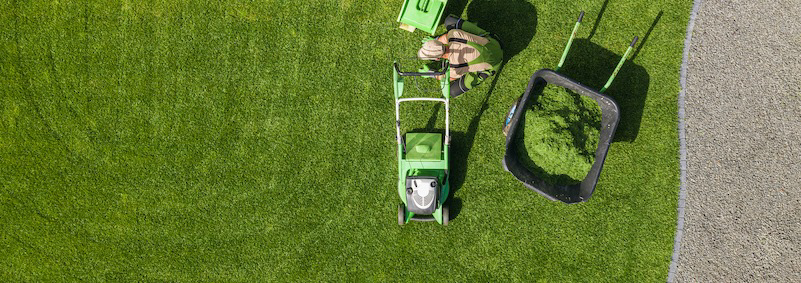 An aerial view of a person mowing a lush green lawn with a push mower for Green Arbor Landscaping in Renton, WA.