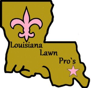 A person operating a riding lawnmower to cut grass, demonstrating lawn care services by Louisiana Lawn Pro s in New Orleans, LA.