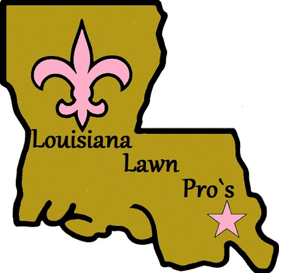 A person operating a riding lawnmower to cut grass, demonstrating lawn care services by Louisiana Lawn Pro s in New Orleans, LA.