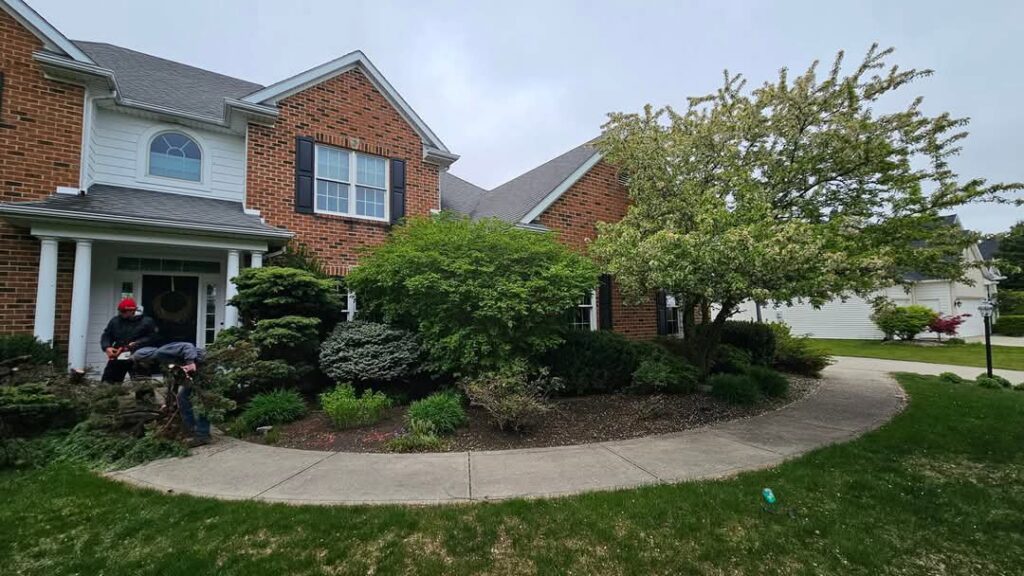 A professional trimming bushes and shrubs in front of a house for ALL Lawn Care Service in Saint Louis, MO