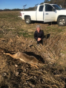 A person kneeling beside a removed coyote with a work truck in the background, showing wildlife control by ACB Wildlife Control in Memphis, TN.