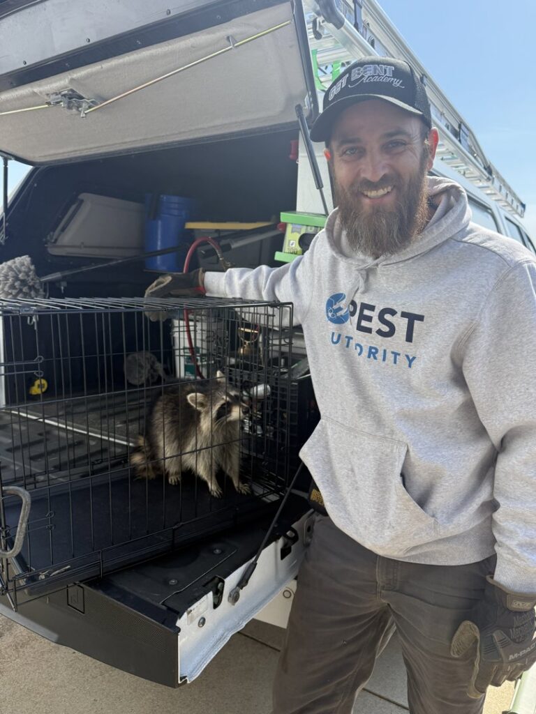 A Pest Authority technician smiling next to a truck with a raccoon in a live trap in Dover, DE, showcasing wildlife removal.