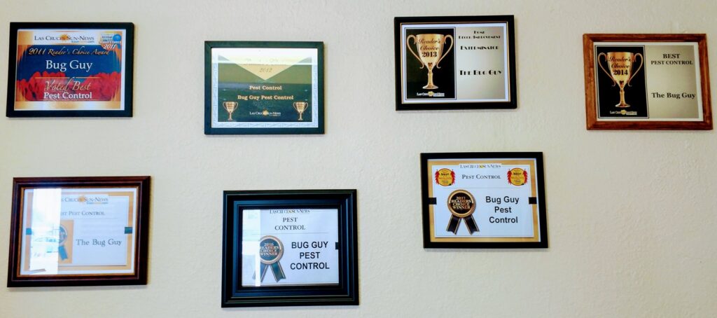 Framed awards for 'Best Pest Control' displayed at Bug Guy Pest Control in Las Cruces, NM.
