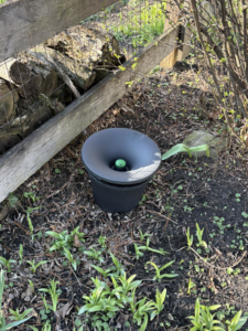 A pest control bait station installed in a garden by Complete Termite & Pest Control in Mason, OH.