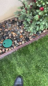 A green pest control bait station installed in the ground by Dan's Pest Management in Bakersfield, CA