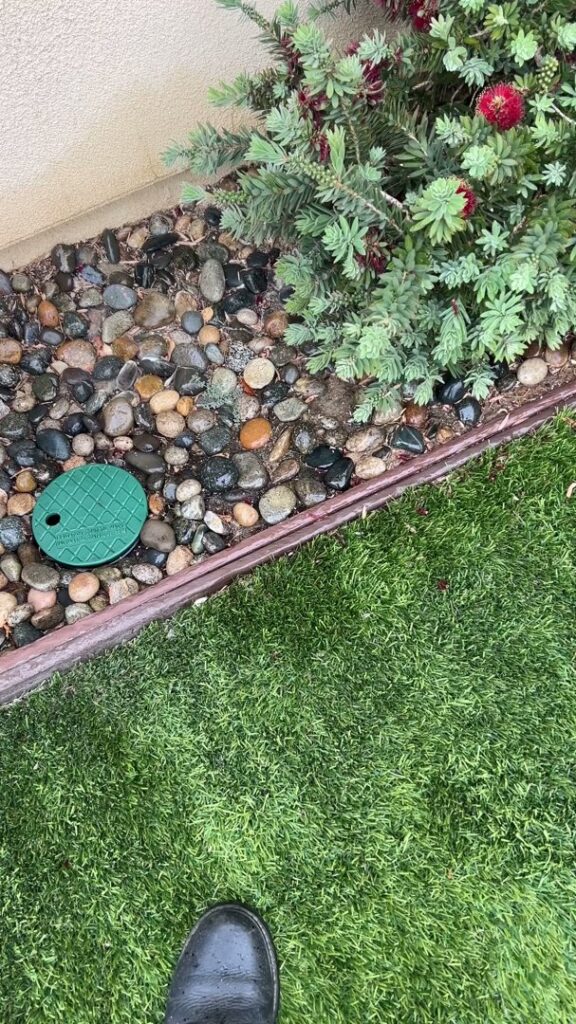 A green pest control bait station installed in the ground by Dan's Pest Management in Bakersfield, CA