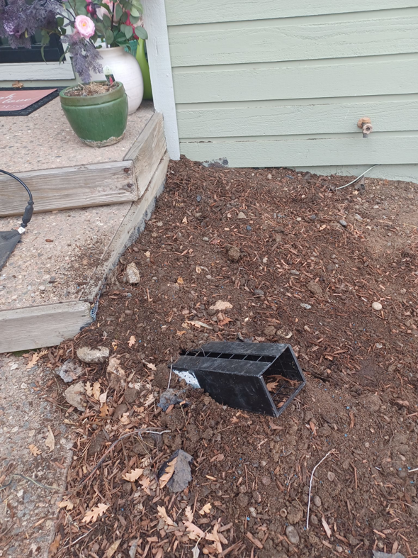 A black pest control bait station placed next to a house foundation by HARP in Colorado Springs, CO.