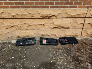 Three pest control bait stations set up outside a building by Logan Square Pest Control in Chicago, IL