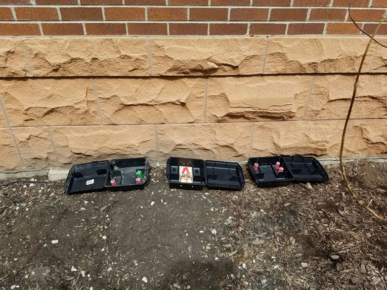 Three pest control bait stations set up outside a building by Logan Square Pest Control in Chicago, IL