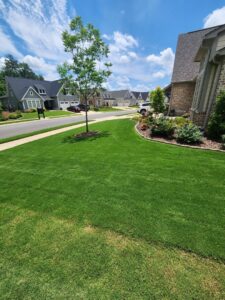 Multiple pest control bait stations installed in a residential lawn by TDI Lawn & Pest - Birmingham, AL.