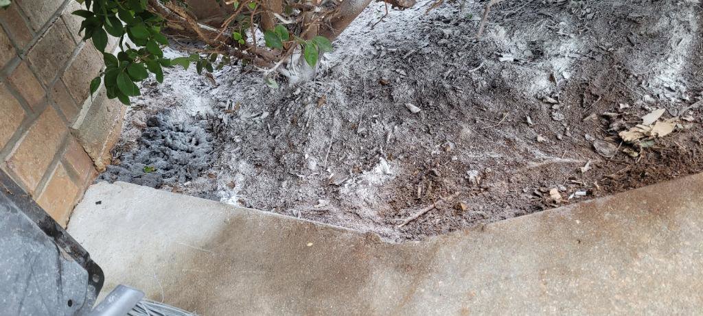 White pest control dust applied to the ground next to a brick wall by Absolute Exterminating Services in Ellenwood, GA.