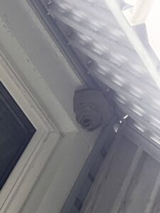 Pest control treatment equipment with a large tank and hose reel in a truck by Complete Termite & Pest Control in Mason, OH.