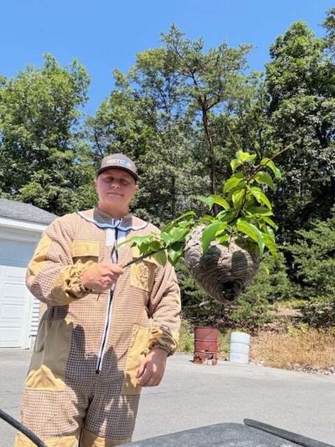 A pest control expert from PestGoat, llc. holding a large hornet nest after removal in Fort Ashby, WV.