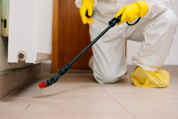 A pest control expert in protective gear spraying a floor for pests at Athens Exterminating Inc. in Athens, GA
