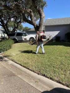 A Solutions Pest Management expert spraying a residential lawn with a backpack sprayer in Corpus Christi, TX.