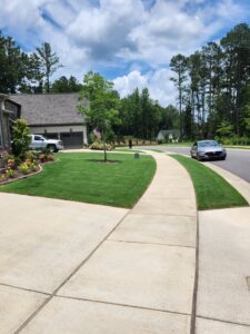 Small pest control markers indicating recent treatment in a residential lawn by TDI Lawn & Pest - Birmingham, AL.