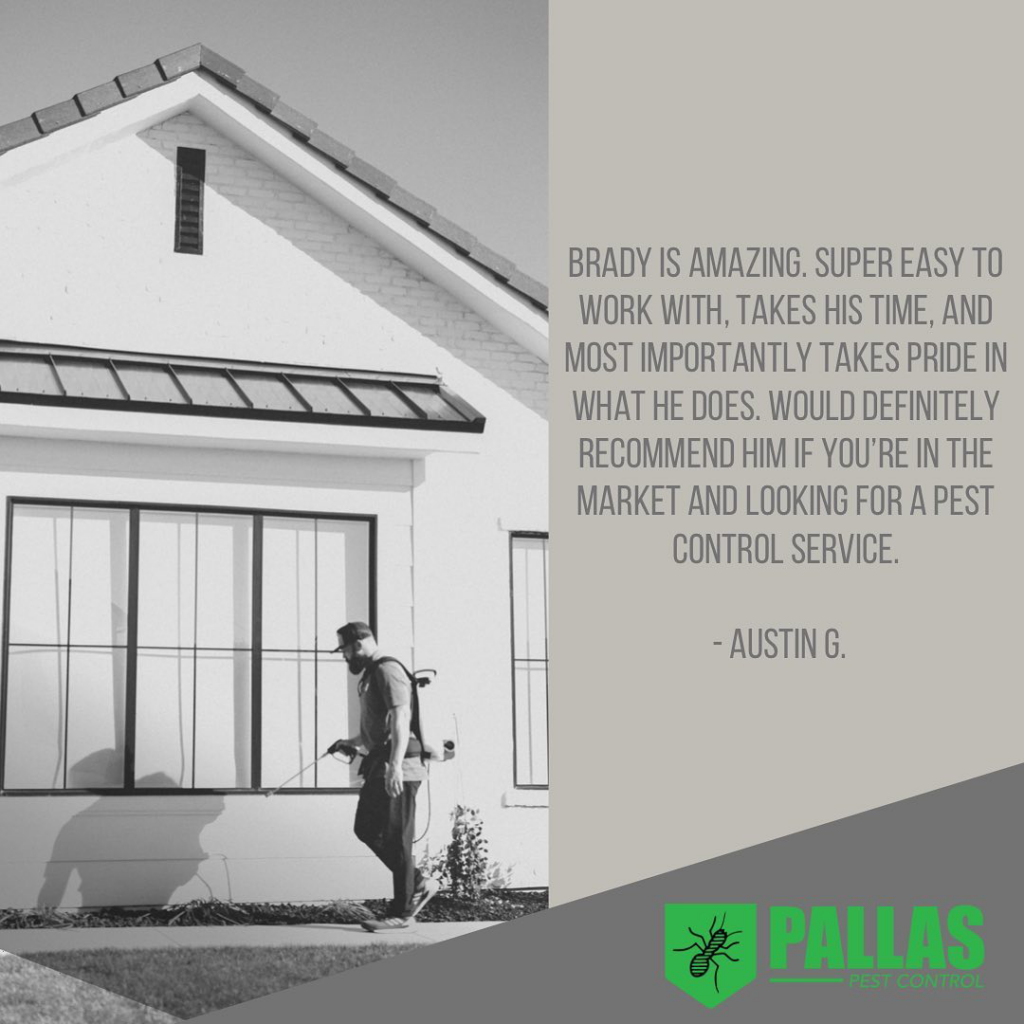 A Pallas Pest Control technician performing pest control service by spraying a home's exterior in Saint George, UT.