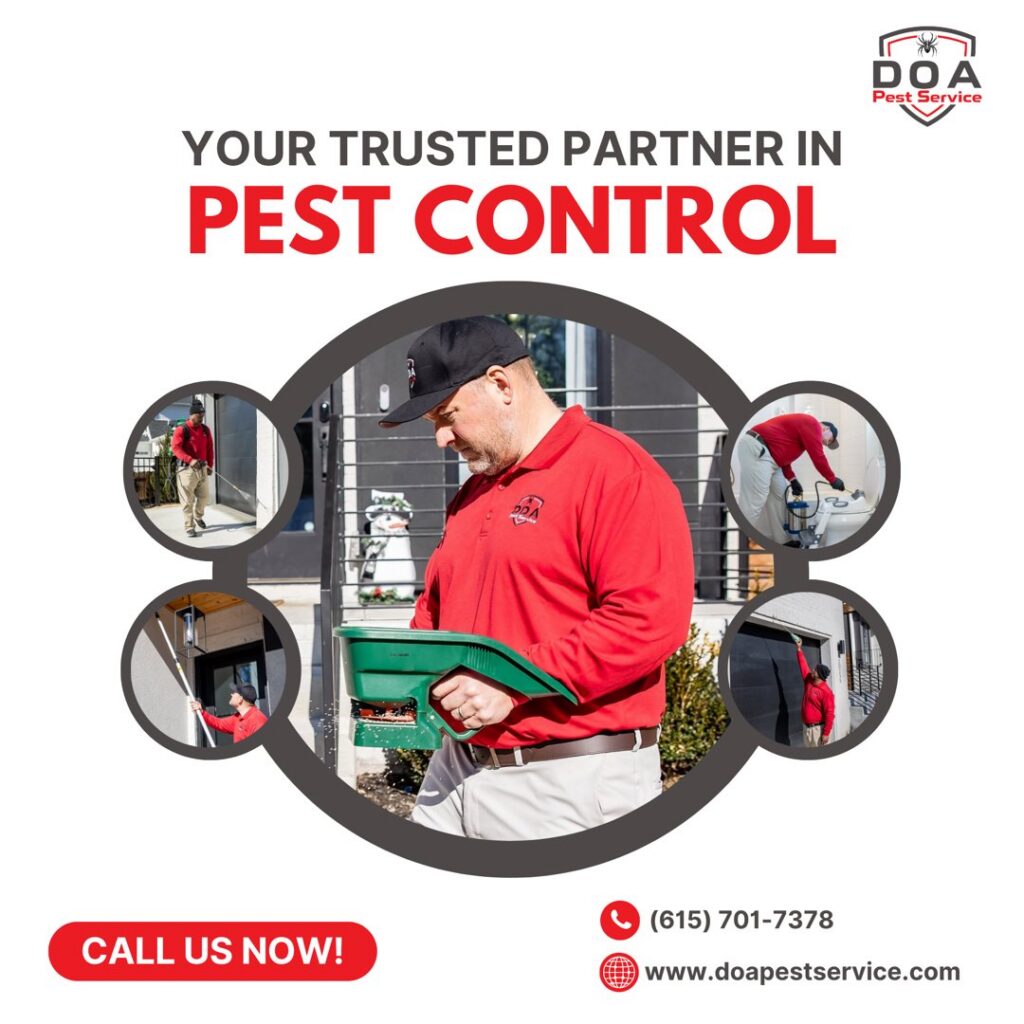 An overview of pest control services being performed by technicians from DOA Pest Service in Nashville, TN.