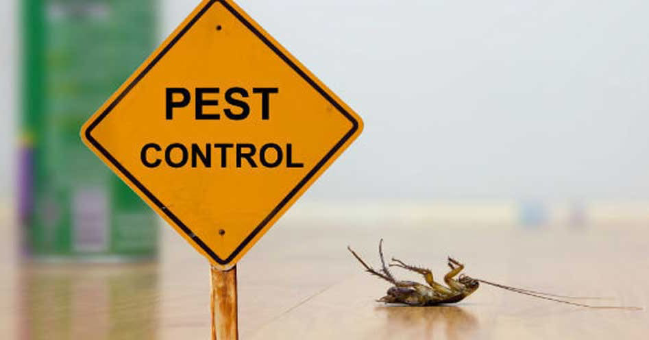 A 'Pest Control' sign next to a dead cockroach, illustrating effective pest elimination by Linx Pest Control in Greenville, SC.