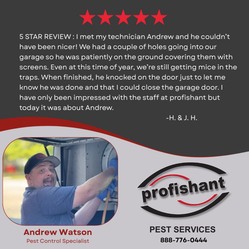 Pest control specialist Andrew Watson working in a confined space for Profishant, inc. in New Bedford, MA.