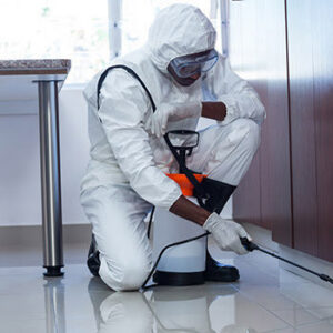 A pest control specialist in a white protective suit treating a floor area indoors for Sac Pest Pros in Sacramento, CA.