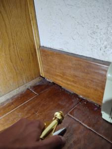 A technician applying pest control spray treatment along a baseboard by Pestpuncherspcs in Rio Rancho, NM.