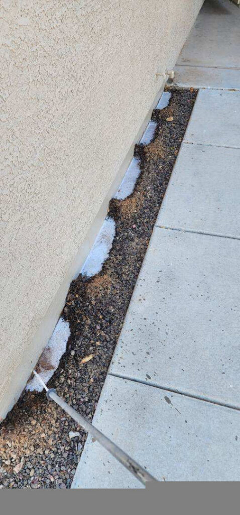 A pest control technician applying liquid treatment along a building's foundation for House Doctor Exterminating in Glendale, AZ.
