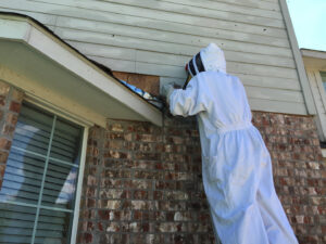 A pest control technician in a full bee suit on a ladder, performing bee or wasp removal services for Dallas Fort Worth Wildlife Control in Hurst, TX.