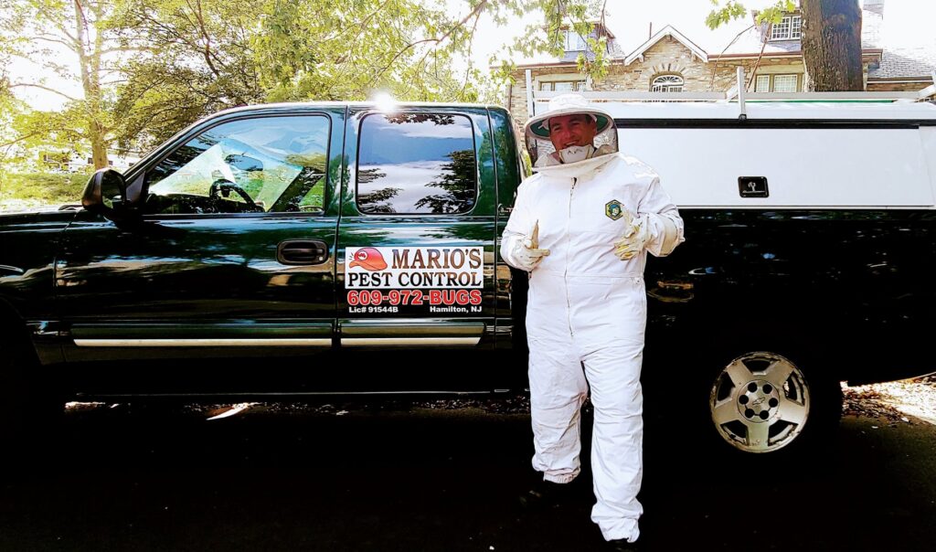 A Mario's Pest Control technician in a full beekeeper suit, ready for a bee or wasp removal job in Hamilton, NJ.