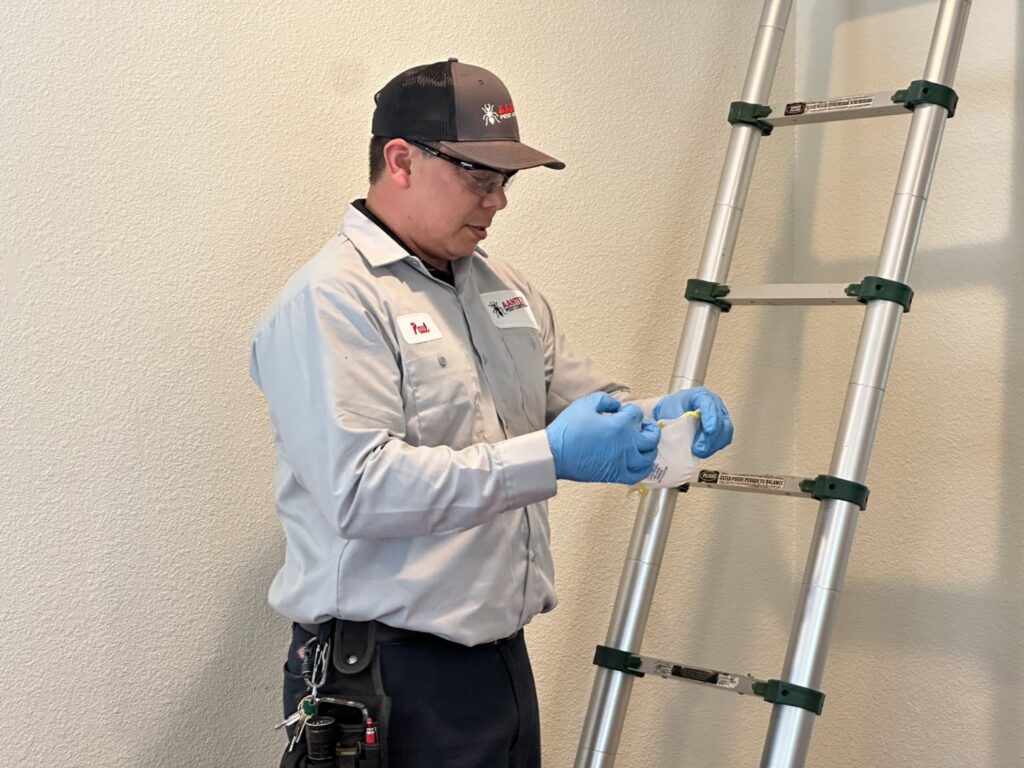 A pest control technician from Aantex Pest Control Norcal putting on gloves before a job in Sacramento, CA.