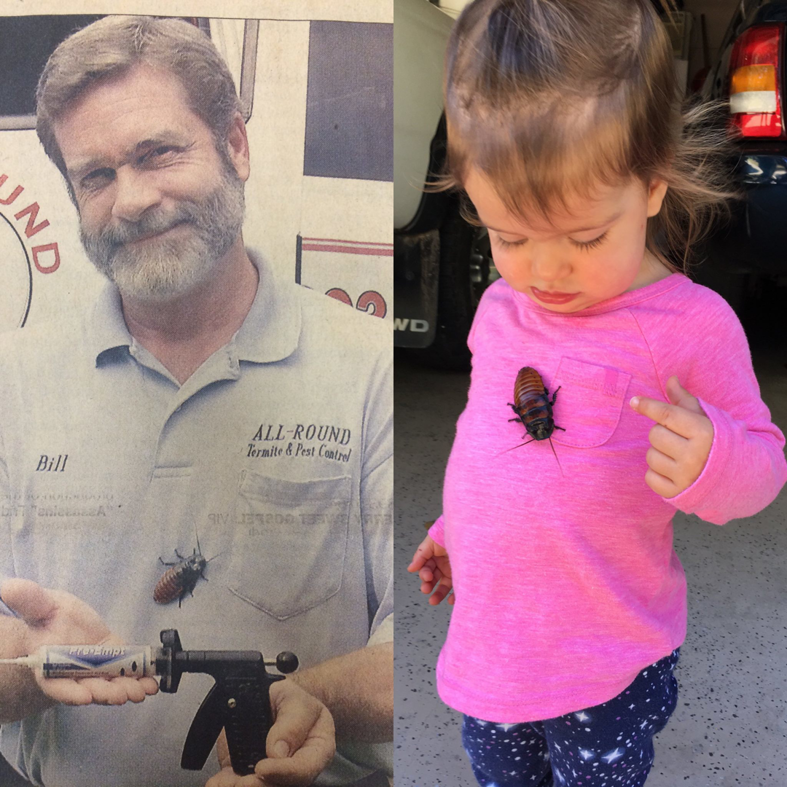 A pest control technician holding a large cockroach and a treatment tool at All-Around Termite and Pest Control in Tallahassee, FL.