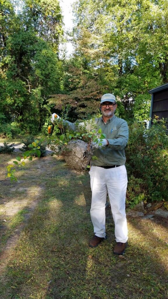A pest control technician holding a large wasp nest removed from a tree branch by Green Pest Management LLC in New Castle, DE