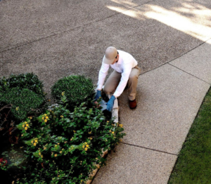 A pest control technician from VM Products inspecting bushes for pests in Arlington, TX