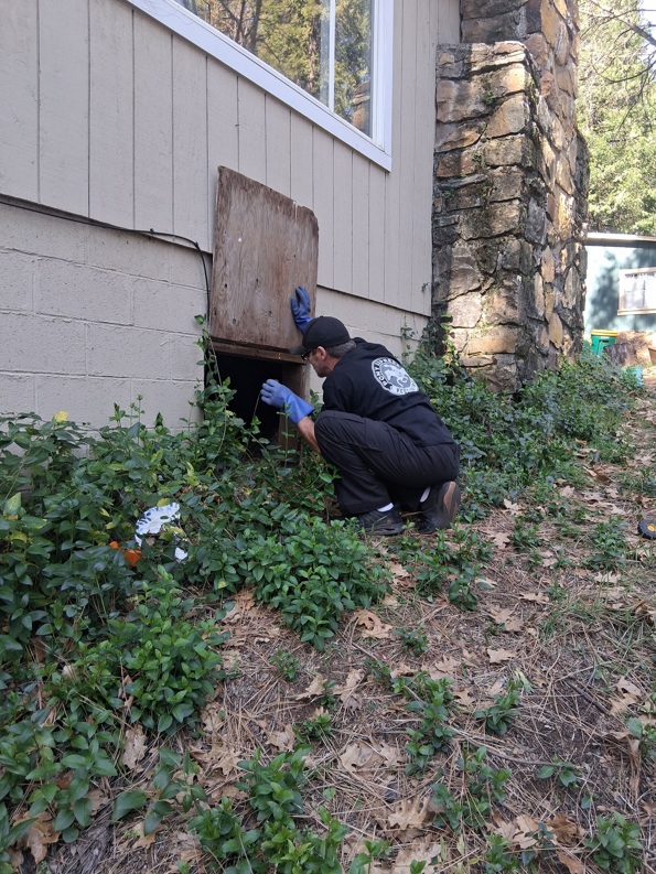 A Pony Express Pest Control technician inspecting a crawl space for pests in Pollock Pines, CA.