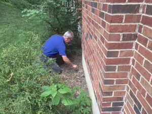 A pest control technician kneeling to inspect or treat the ground next to a brick wall by EcoPro Termite & Pest in Dayton, OH