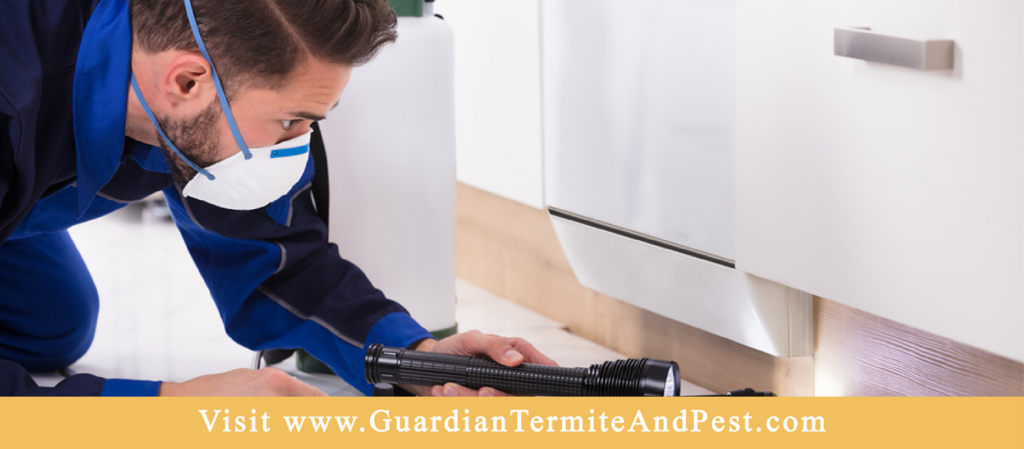 A pest control technician inspecting a home for pests with a flashlight at Guardian Pest Control in Jonesboro, AR.