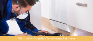 A pest control technician inspecting a home for pests with a flashlight at Guardian Pest Control in Jonesboro, AR.