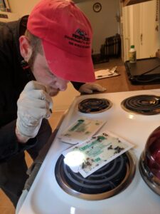 A pest control technician from Ampulex Environmental Solutions in Oxford, OH, inspecting a kitchen stove with glue traps.