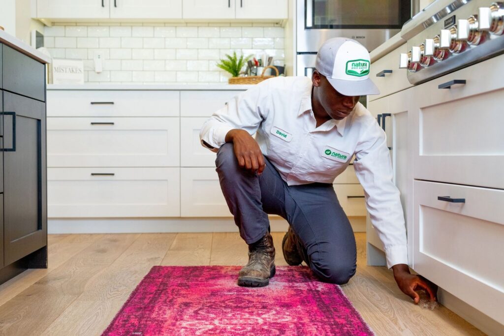 A Natura Pest Control technician inspecting under a kitchen cabinet for pests in a home in Boise, ID.