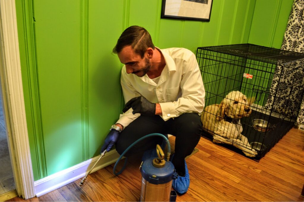 A pest control technician inspecting under a kitchen sink during a service call for Clark's Classic Pest Control in Nashville, TN.