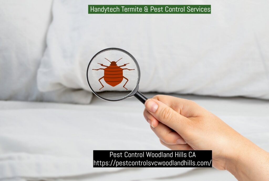 A Handytech Termite & Pest Control Services technician inspecting a wall with a probe and moisture meter in Los Angeles, CA