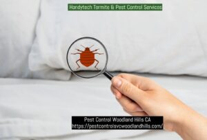 A Handytech Termite & Pest Control Services technician inspecting a wall with a probe and moisture meter in Los Angeles, CA