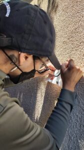 A pest control technician from Sophie's Pest Solutions in Oakland, CA, meticulously inspecting a wall with a magnifying glass.